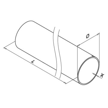 RVS buis 42,4 x 2 mm RVS-316L onbewerkt